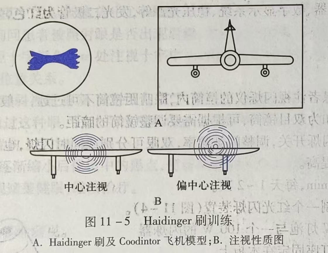 Haidinger刷训练.jpg